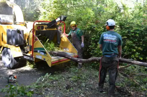 tree services Lancaster